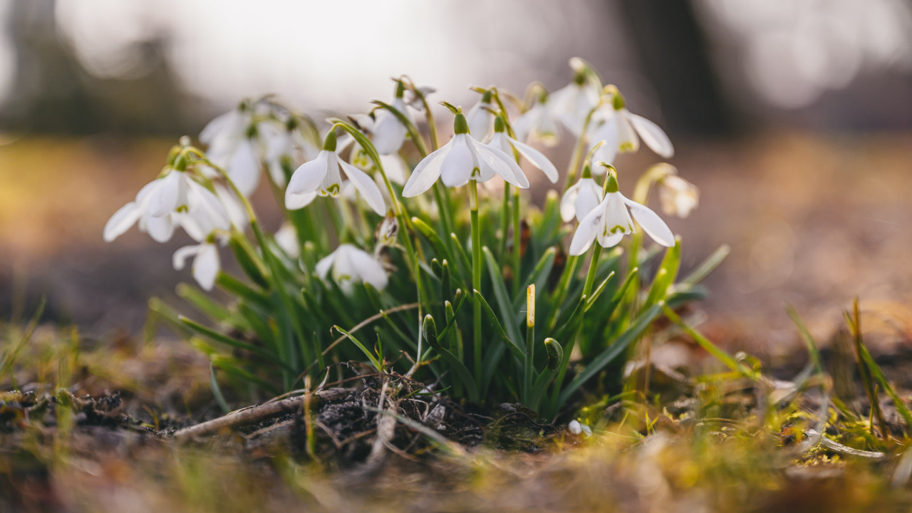 Skolēnu pavasara brīvlaikā būs izmaiņas atsevišķu maršrutu autobusu kustībā